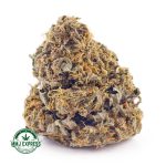 Buy Cannabis Girl Scout Cookies (GSC) AA at MMJ Express Online Shop