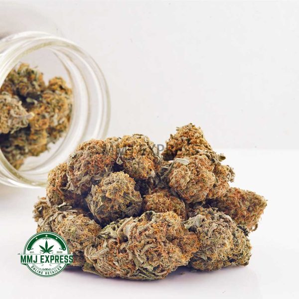 Buy Cannabis Girl Scout Cookies (GSC) AA at MMJ Express Online Shop