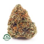 Buy Cannabis Bubba OG AA at MMJ Express Online Shop