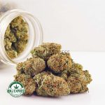 Buy Cannabis Bubba OG AA at MMJ Express Online Shop