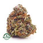 Buy Cannabis Pink Punch AA at MMJ Express Online Shop