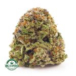 Buy Cannabis Crazy Glue  AA at MMJ Express Online Shop