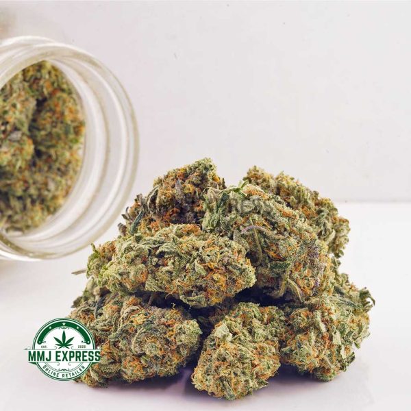 Buy Cannabis Astroboy AAA at MMJ Express Online Shop
