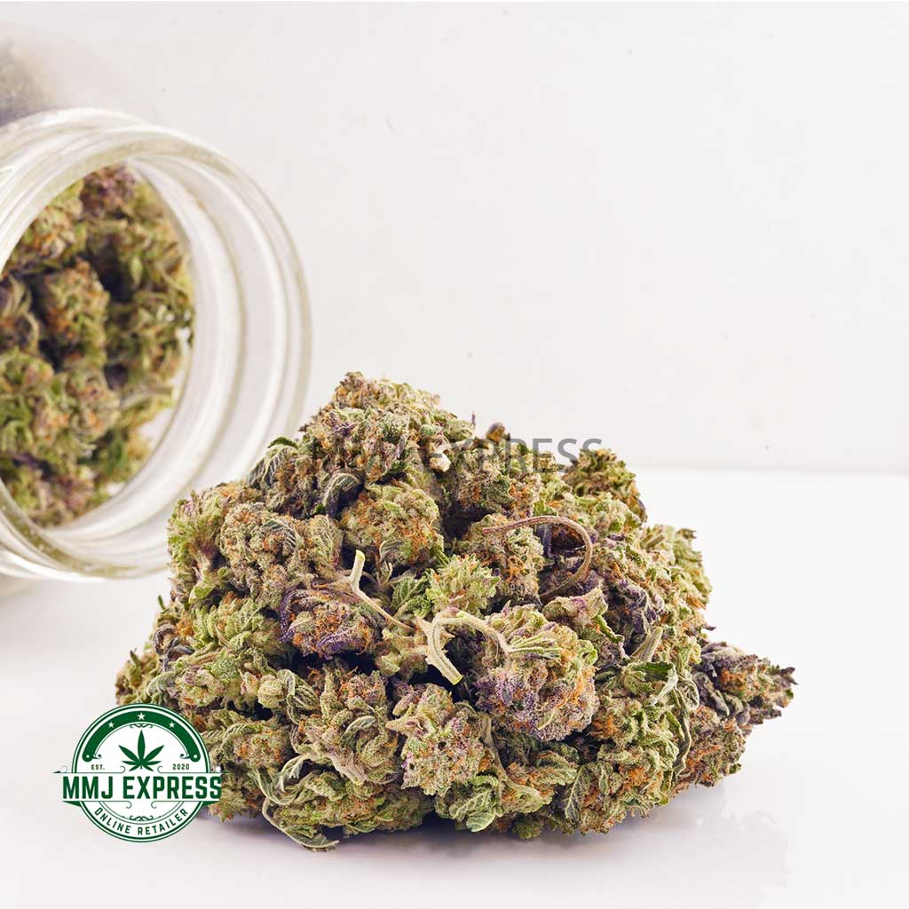 Buy Cannabis Purple Gas AAA (Popcorn Nugs) at MMJ Express Online Shop