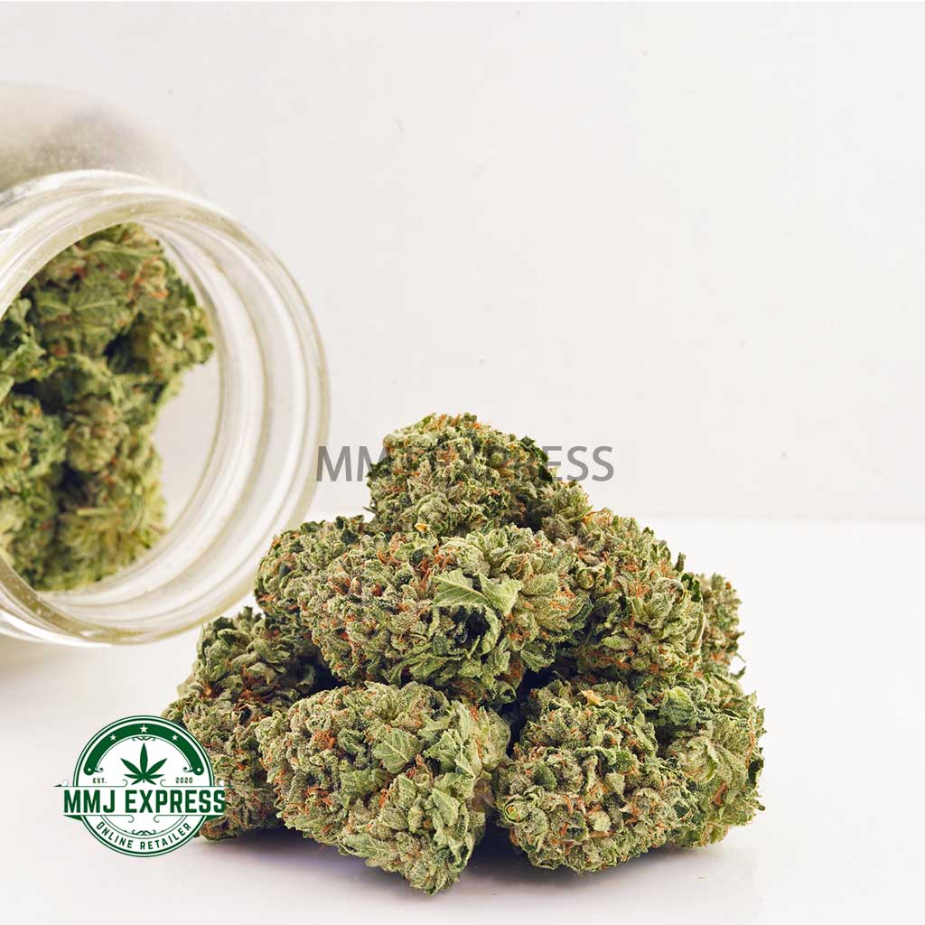 Buy Cannabis Blueberry Parfait AA at MMJ Express Online Shop