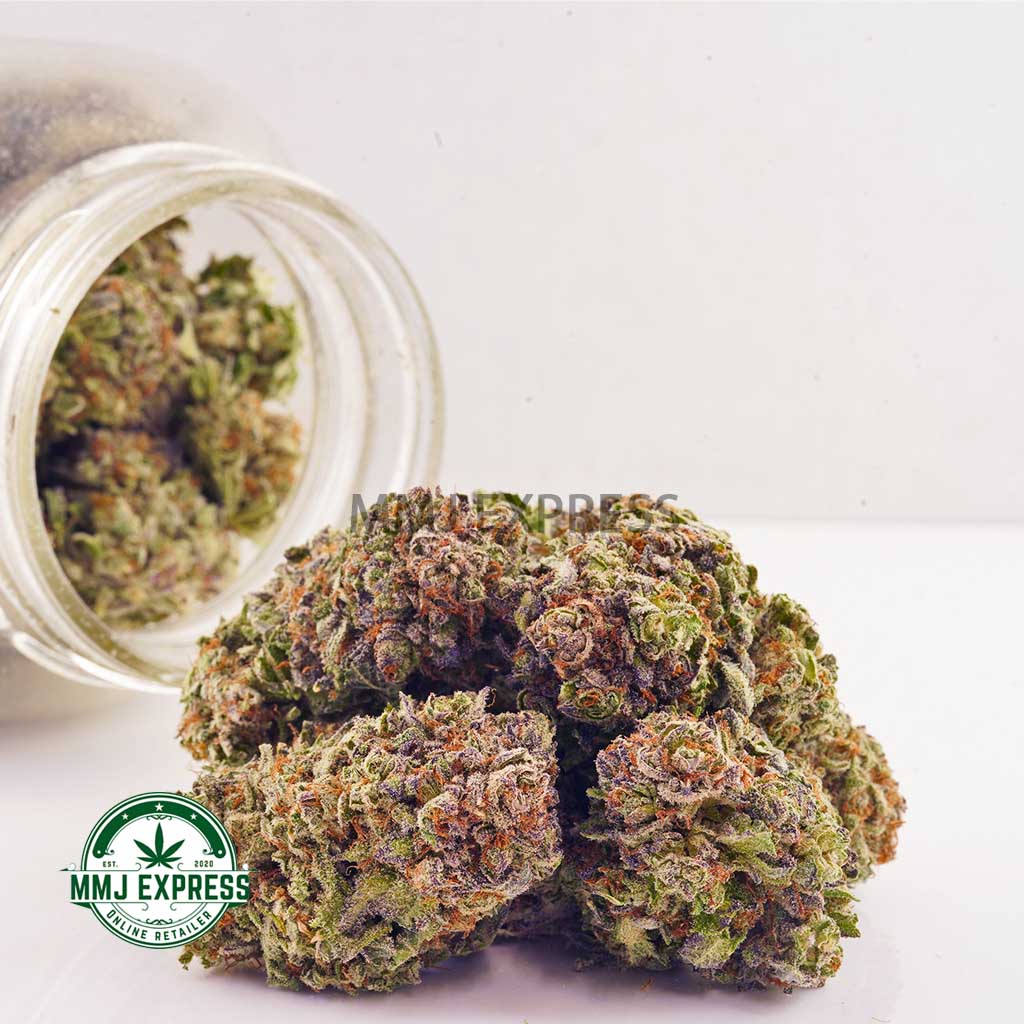Buy Cannabis Island Skunk AA at MMJ Express Online Shop