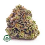 Buy Cannabis Master Yoda AAA at MMJ Express Online Shop