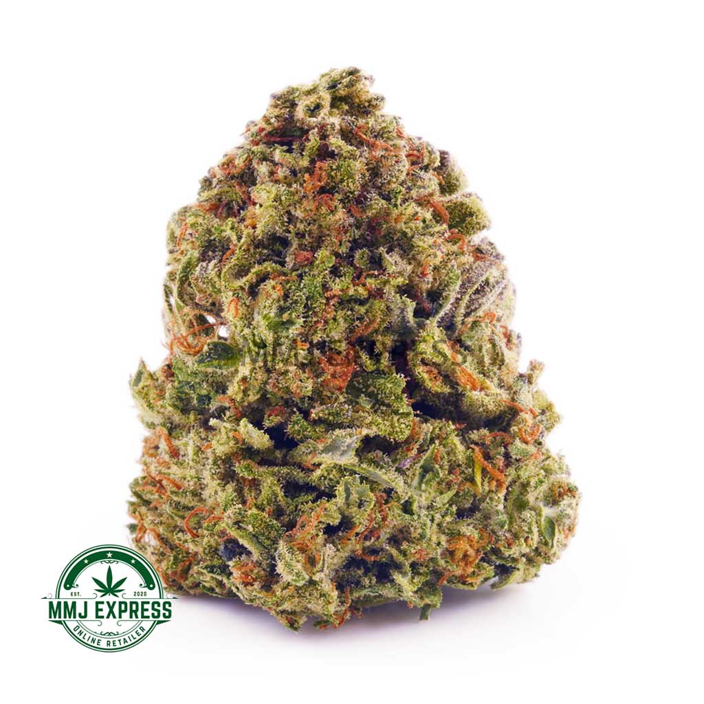 Buy Thin Mint AA Cannabis at MMJ Express Online
