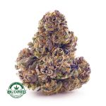 Buy Cannabis Tutti Fruitti AAA MMJ Express Online Shop