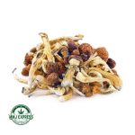 Buy Shrooms - Blue Meanies at MMJ Express Online Shop