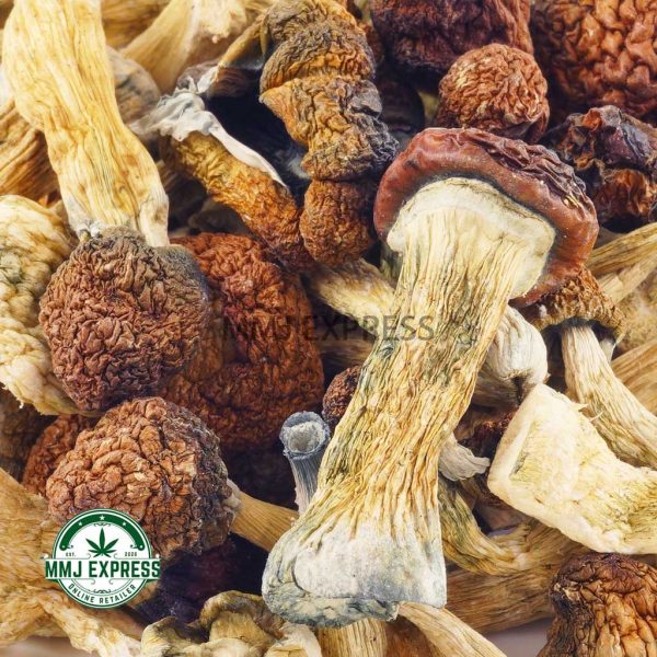 Buy Shrooms - Blue Meanies at MMJ Express Online Shop