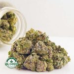 Buy Cannabis Purple Octane AAAA (Popcorn) at MMJ Express Online Shop