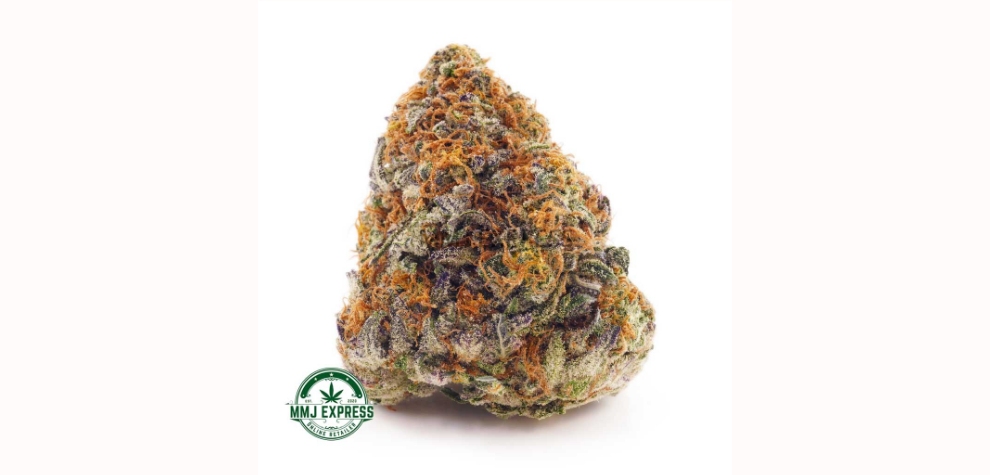 Mimosa is a rising strain in Canada for many valid reasons, and it’s available to order seamlessly through our online dispensary. 