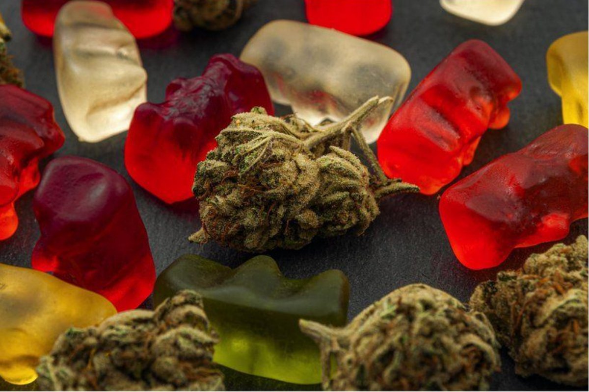 Beyond smoking cannabis, another exciting and popular way to enjoy it is by making cannabis gummy bear recipes yourself. Keep on reading blog.