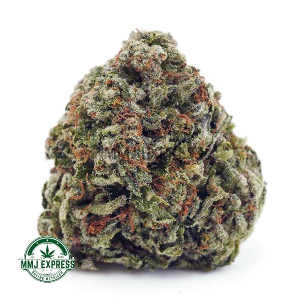 Buy Cannabis Fruit Punch AAA at MMJ Express Online Shop
