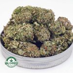 Buy Cannabis Fruit Punch AAA at MMJ Express Online Shop