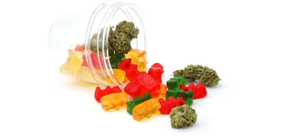 Making your cannabis gummy bears requires you to have the rest of that recipe as well as the equipment to make one.