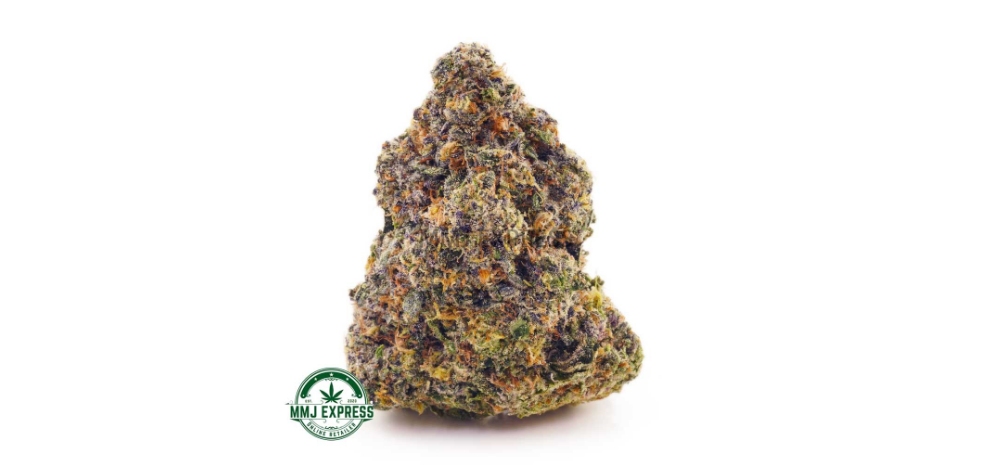 Order 28 grams of beautifully groomed Jet Fuel Gelato flowers and you’ll fall in love with it faster than you can smoke it. 