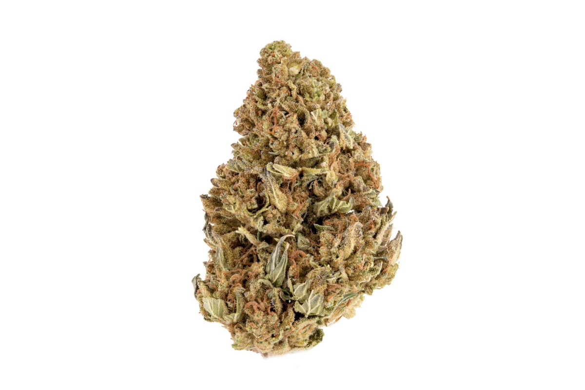 The Jet Fuel Gelato strain is loved by users across the globe for all the reasons listed in this article. Check out our selection of strain offerings.
