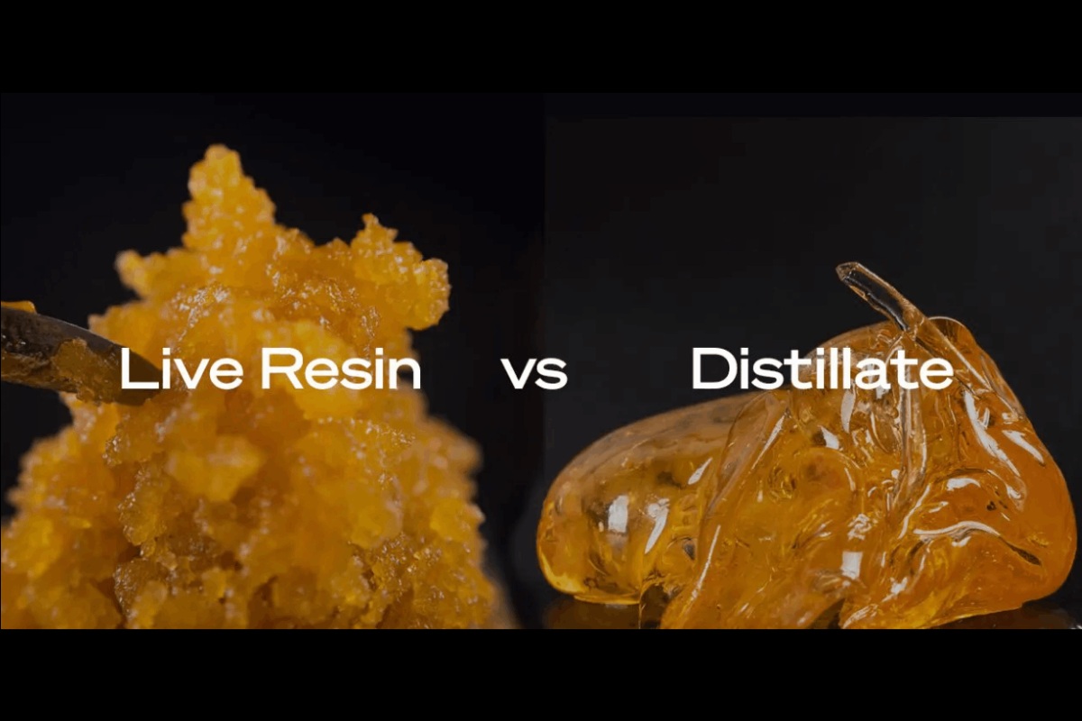Now that you know the difference between live resin vs distillate, it's time to head to MMJ Express, your next go-to dispensary in Canada. 