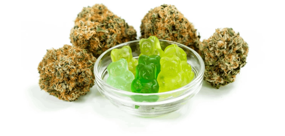 Now that you have learned how to make edible cannabis gummy bears, you should know how to turn regular gummies into edibles. 
