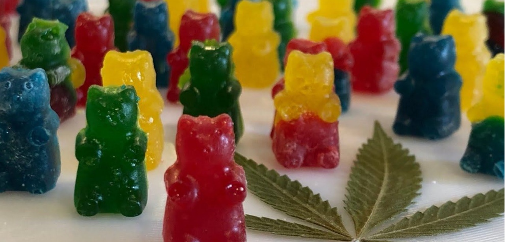 The internet is full of weed gummies recipes, but not all of them are worth your time and effort. 