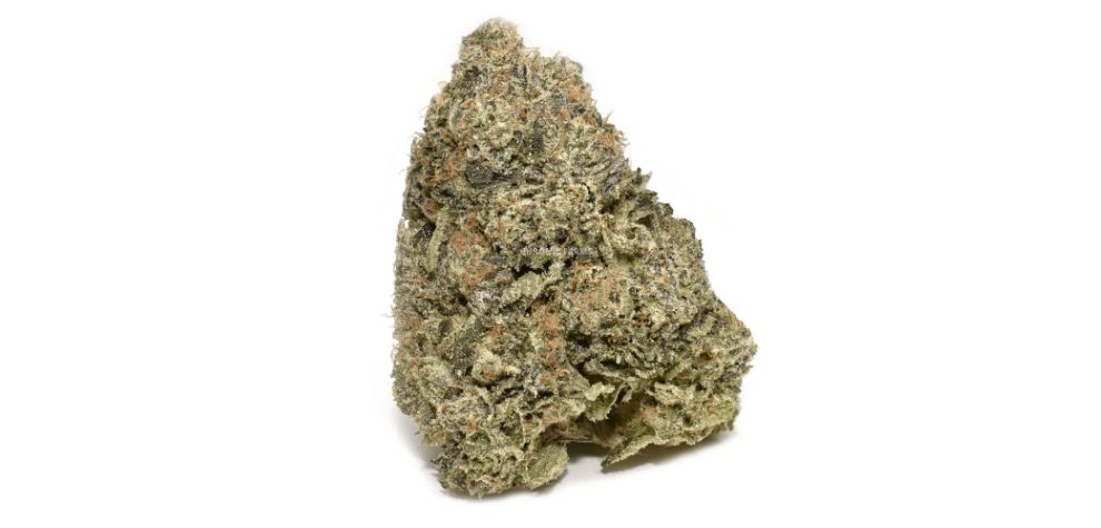 This rare strain is created by crossing Hindu Kush, Lemon Thai and Chemdawg. This unique strain is now available online at  Chronic Farms!
