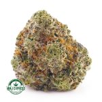 Buy Cannabis Platinum Oreoz AAAA at MMJ Express Online Shop