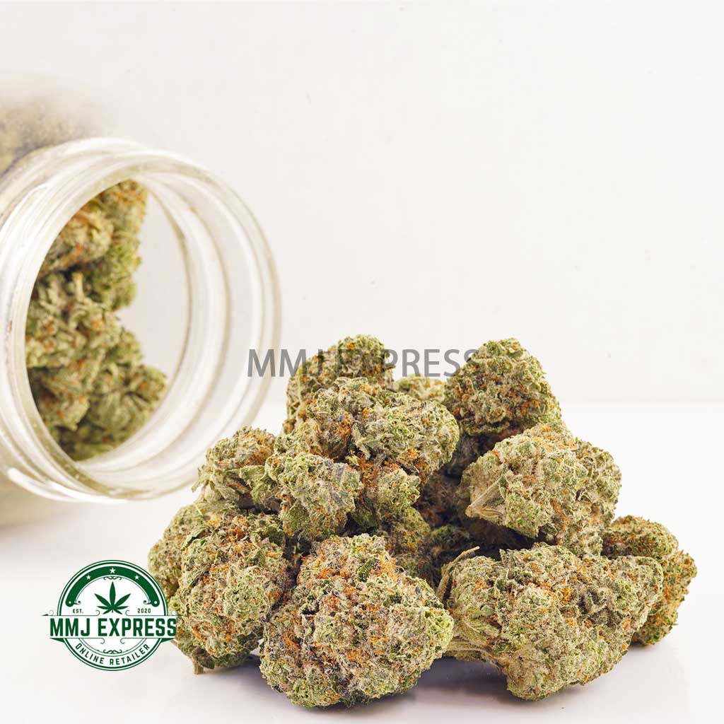 Buy Cannabis Platinum Oreoz AAAA at MMJ Express Online Shop