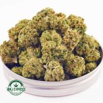 Buy Cannabis AK-47 AA (Popcorn Nugs) at MMJ Express Online Shop