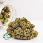Buy Cannabis AK-47 AA (Popcorn Nugs) at MMJ Express Online Shop