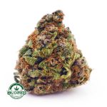 Buy Cannabis Grapefruit Haze AA at MMJ Express Online Shop