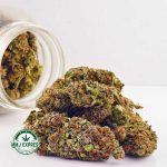 Buy Cannabis Grapefruit Haze AA at MMJ Express Online Shop