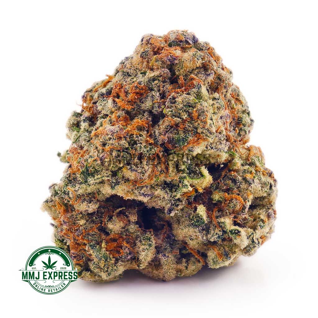 Buy Cannabis Scout Master  AAA at MMJ Express Online Shop