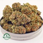 Buy Strawberry Amnesia AAA at MMJ Express Online Shop