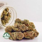 Buy Strawberry Amnesia AAA at MMJ Express Online Shop