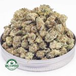 Buy Cannabis Hogs Breath AAA (Popcorn) at MMJ Express Online Shop