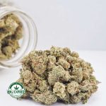 Buy Cannabis Stardawg Breath AAA (Popcorn Nugs) at MMJ Express Online Shop