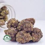 Buy Cannabis Gassy Gelato AAA MMJ Express Online Shop