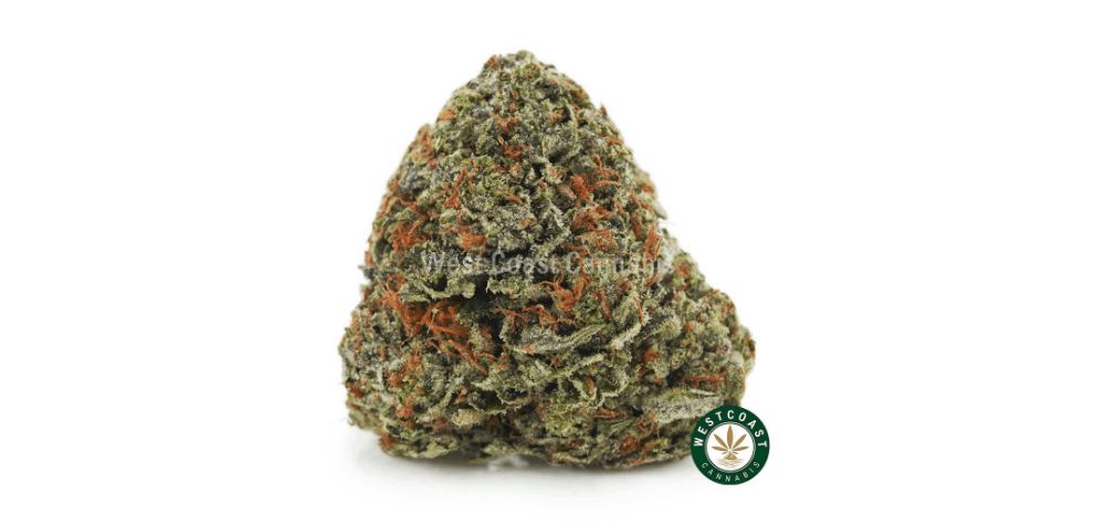 This strain may relieve nausea, pain, insomnia and anxiety. You can now buy Couch Lock AAAA online at West Coast Cannabis at the lowest price guaranteed!