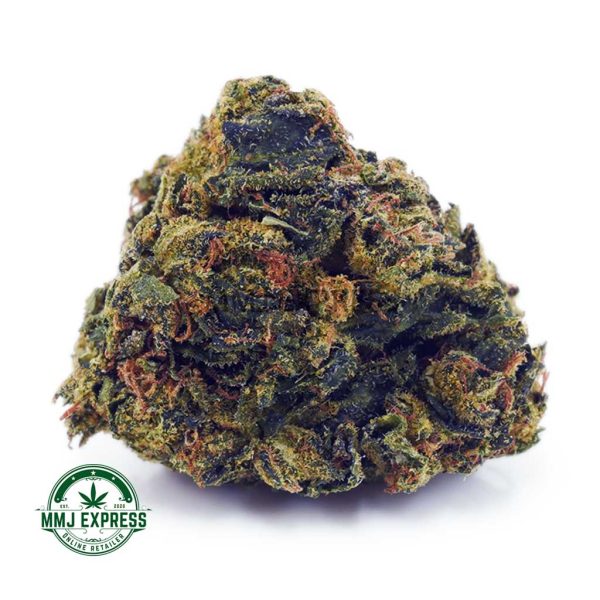 Buy Cannabis Comatose OG AA at MMJ Express Online Shop