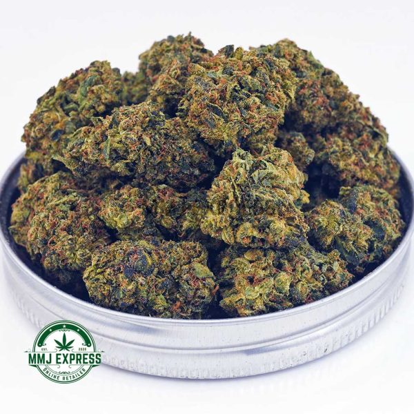 Buy Cannabis Comatose OG AA at MMJ Express Online Shop