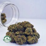 Buy Cannabis Comatose OG AA at MMJ Express Online Shop