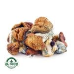 Buy Shrooms - Texas Penis Envy at MMJ Express Online Shop