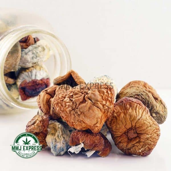 Buy Shrooms - Texas Penis Envy at MMJ Express Online Shop