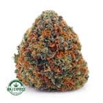 Buy Cannabis Hawaiian Snow AA at MMJ Express Online Shop