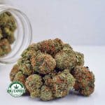 Buy Cannabis Hawaiian Snow AA at MMJ Express Online Shop