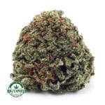 Buy Cannabis Greasy Pink AAAA at MMJ Express Online Shop