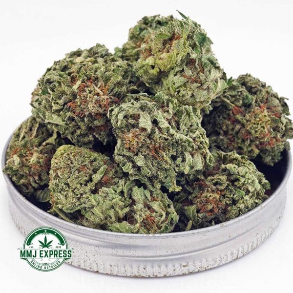 Buy Cannabis Greasy Pink AAAA at MMJ Express Online Shop
