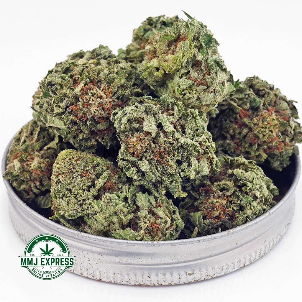 EA GREASYPINK MMJ Buy Cannabis Greasy Pink AAAA at MMJ Express Online Shop